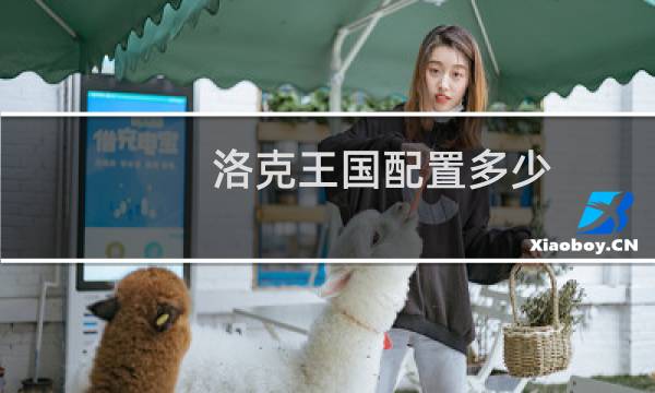 洛克王国配置多少
