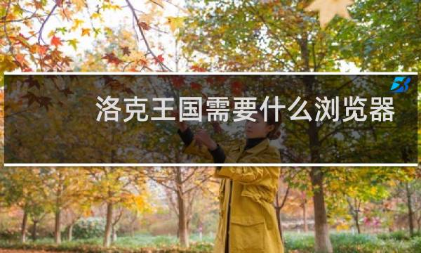 洛克王国需要什么浏览器