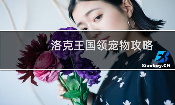 洛克王国领宠物攻略