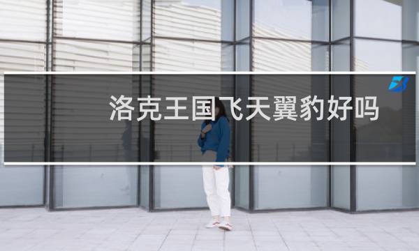 洛克王国飞天翼豹好吗