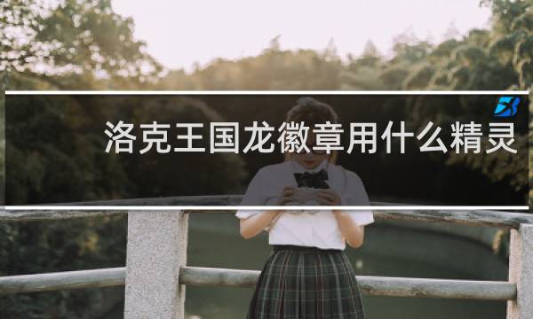 洛克王国龙徽章用什么精灵