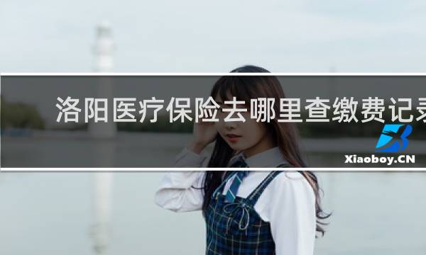 洛阳医疗保险去哪里查缴费记录