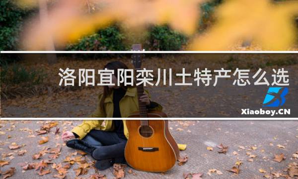 洛阳宜阳栾川土特产怎么选
