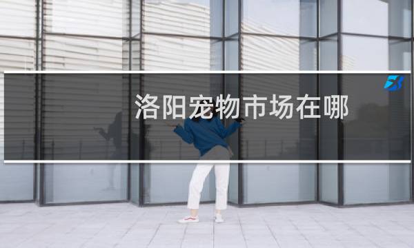 洛阳宠物市场在哪