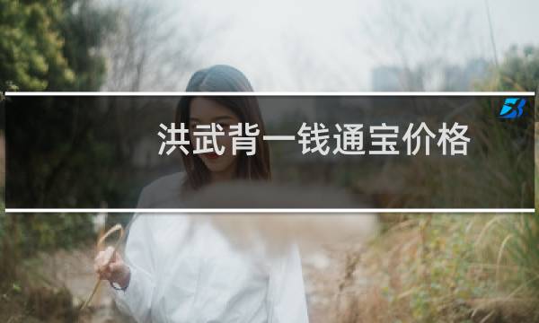 洪武背一钱通宝价格