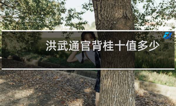 洪武通官背桂十值多少