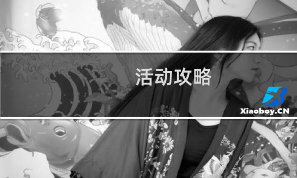 活动攻略 翻译