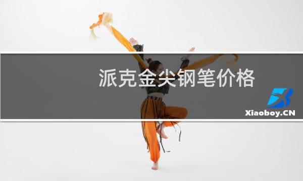 派克金尖钢笔价格