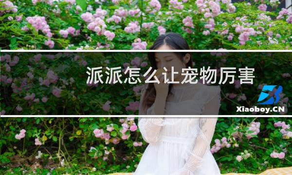 派派怎么让宠物厉害