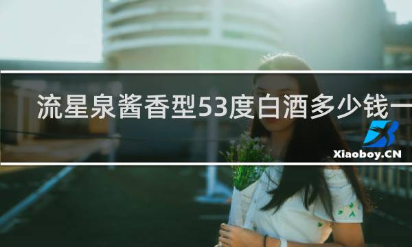 流星泉酱香型53度白酒多少钱一瓶