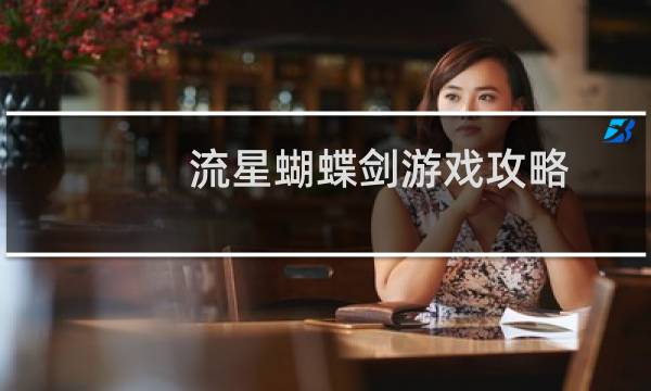 流星蝴蝶剑游戏攻略