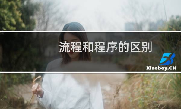 流程和程序的区别
