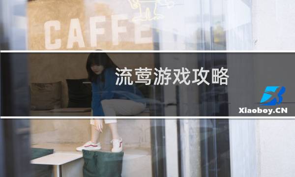 流莺游戏攻略