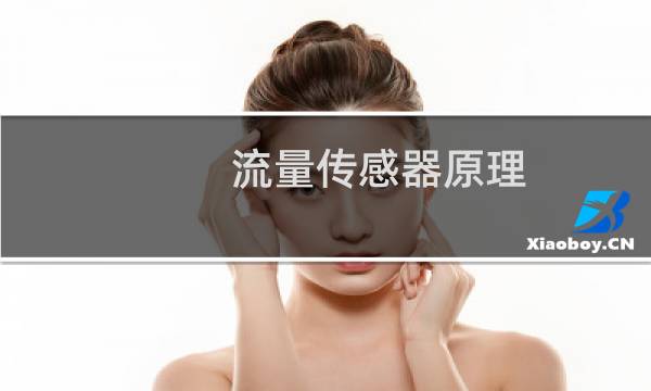 流量传感器原理