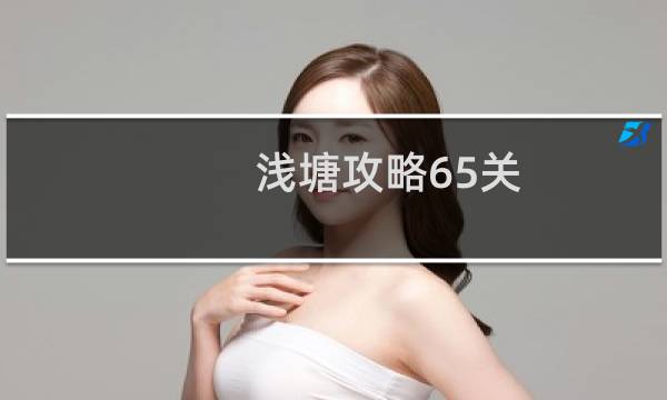 浅塘攻略65关