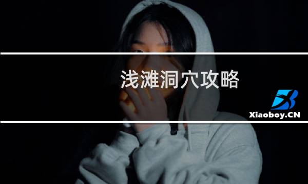 浅滩洞穴攻略