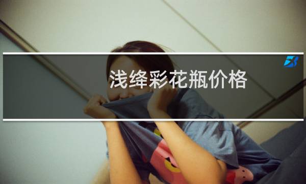 浅绛彩花瓶价格