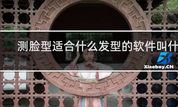 测脸型适合什么发型的软件叫什么