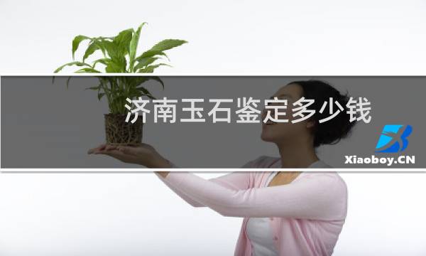 济南玉石鉴定多少钱