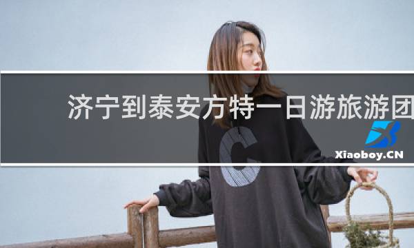 济宁到泰安方特一日游旅游团