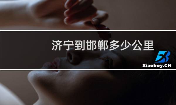 济宁到邯郸多少公里