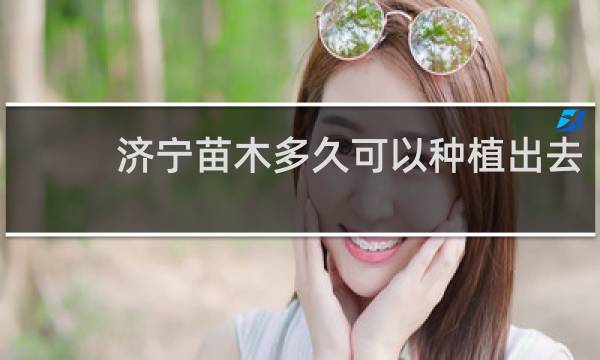 济宁苗木多久可以种植出去