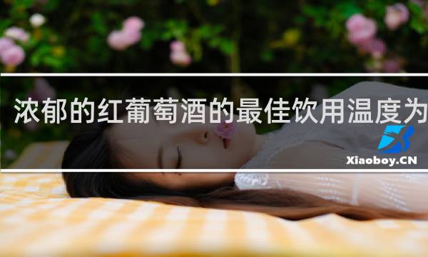 浓郁的红葡萄酒的最佳饮用温度为多少