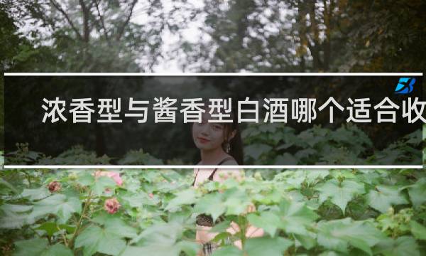 浓香型与酱香型白酒哪个适合收藏