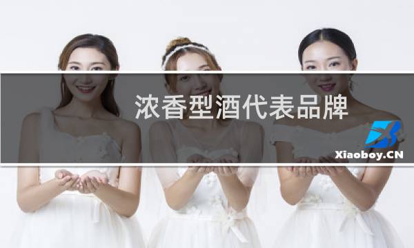 浓香型酒代表品牌
