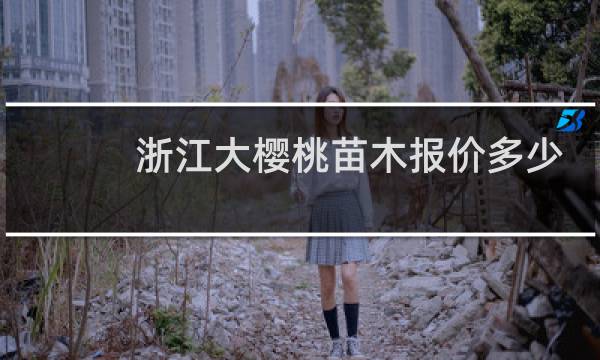 浙江大樱桃苗木报价多少