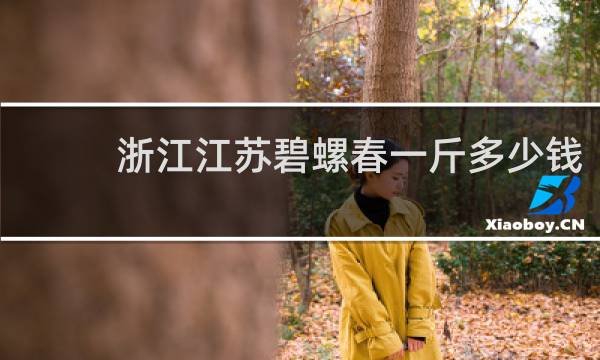 浙江江苏碧螺春一斤多少钱