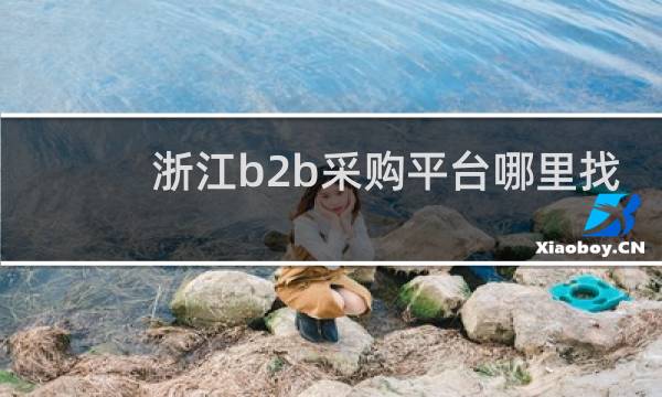 浙江b2b采购平台哪里找