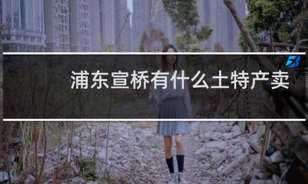 浦东宣桥有什么土特产卖