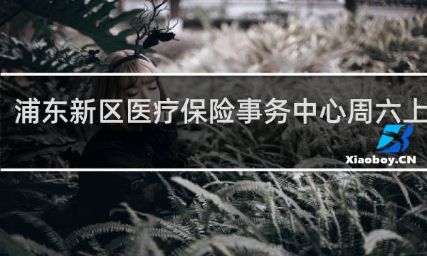 浦东新区医疗保险事务中心周六上班吗