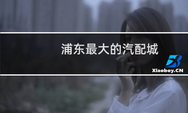 浦东最大的汽配城