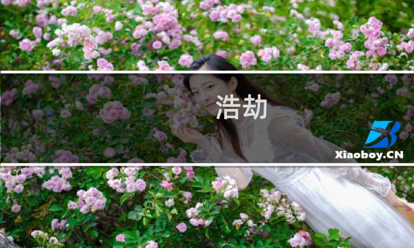 浩劫  大米攻略