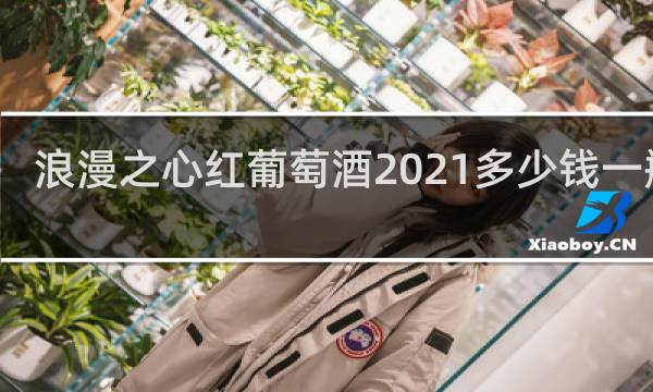 浪漫之心红葡萄酒2021多少钱一瓶呢