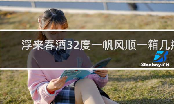 浮来春酒32度一帆风顺一箱几瓶