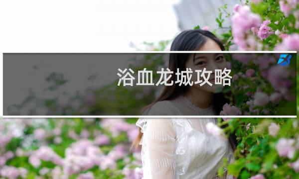 浴血龙城攻略