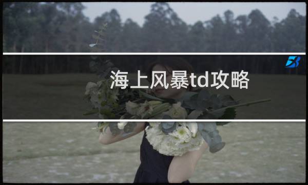 海上风暴td攻略