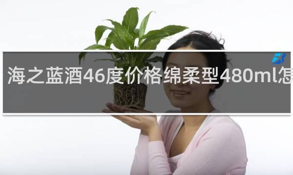 海之蓝酒46度价格绵柔型480ml怎么样