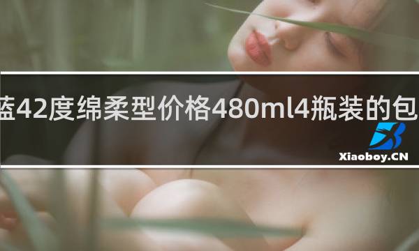 海之蓝42度绵柔型价格480ml4瓶装的包装是啥样的