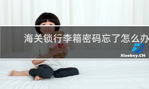 海關(guān)鎖行李箱密碼忘了怎么辦