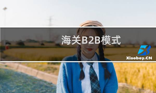 海关B2B模式