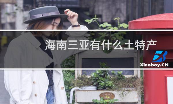 海南三亚有什么土特产