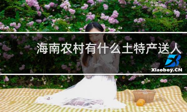 海南农村有什么土特产送人
