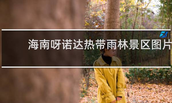 海南呀諾達(dá)熱帶雨林景區(qū)圖片