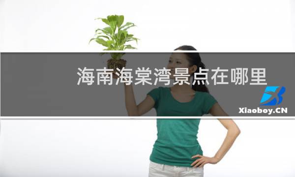 海南海棠湾景点在哪里