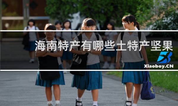 海南特产有哪些土特产坚果