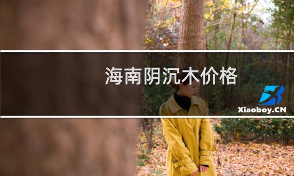 海南阴沉木价格
